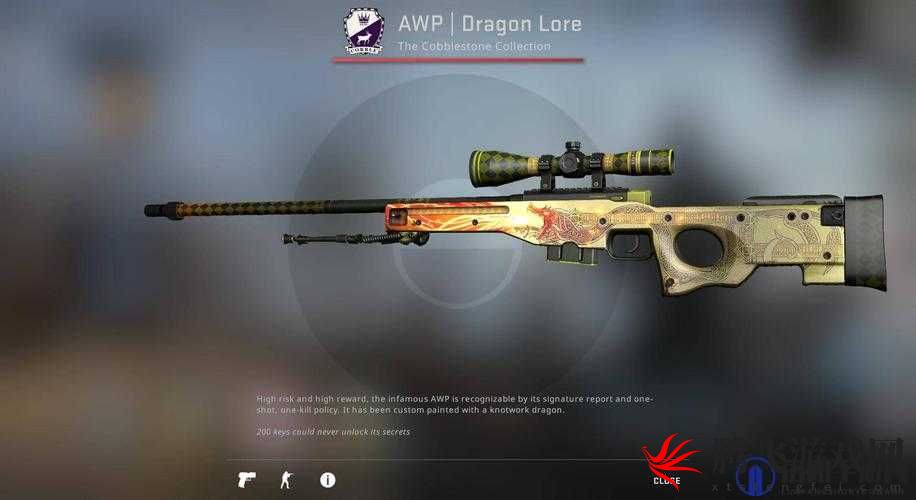 日本 csgo 大姐姐 awp 多少钱-探究其价格因素